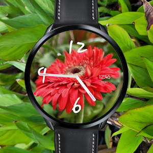 Floral Stock Watch Face icon
