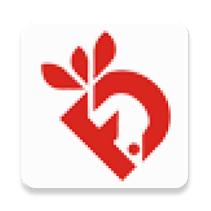 Friidi icon