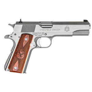 Gun Master icon