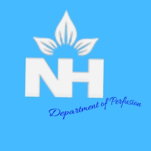 Perfusion NH icon