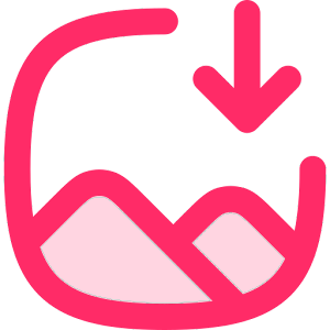 Internet Download Manager IDM icon