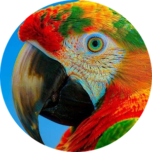 Wildlife HD icon