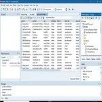 Delphi 64Bits icon
