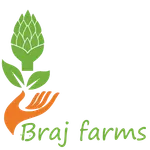 Braj Farms icon
