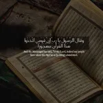قراني نور حياتي icon