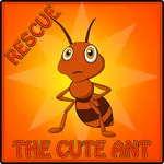 Rescue The Cute Ant icon
