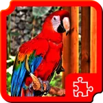 Birds Puzzles icon