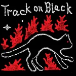 TrackonBlack icon