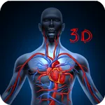 Basic human anatomy 3D videos icon