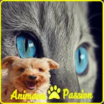 animaux passion icon