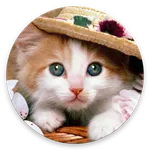 Cat Wallpapers icon