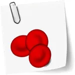 Immunology course icon