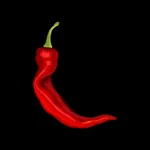 Pizzeria Vita Miechów icon