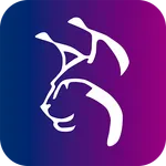 Laboralyx Mostrador icon