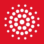 Kita Halle icon