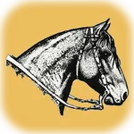 HSCC - HS Cavalo Crioulo icon