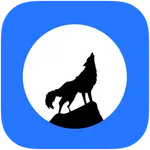 Noor VPN - Best Free VPN Secur icon