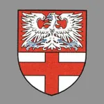 Kettig icon