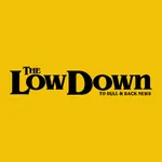 The Low Down icon