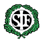 Stavanger IF Fotball icon