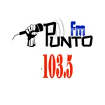 Radio Fm Punto Miramar 103.5 icon