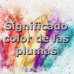 Significado plumas por color icon