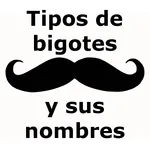Tipos de bigotes y sus nombres icon