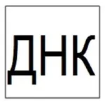 Духовно-нравственная культура  icon