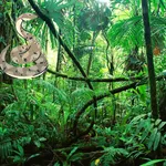 Snake game icon