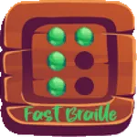 Fast Braille icon