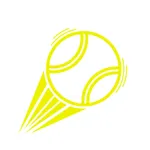 Smash the Ball! icon