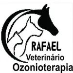 ozonioterapia icon