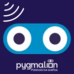 Innobot BT Controller icon