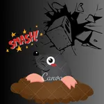 Smash The Mole icon