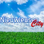 Nieuwleusen City icon