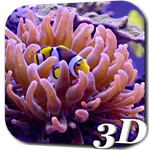 Aquarium Video Live Wallpaper icon