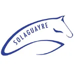 Caballos Deportivos para Salto icon