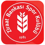 Ziraat Volley icon