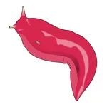 Slug Sleuth - Mt Kaputar (NSW) icon