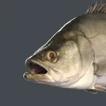 Aquaculture Species icon