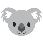 I Spy Koala icon