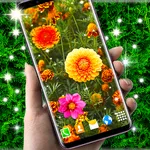 Autumn Flowers Live Wallpaper icon