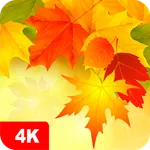 Autumn Wallpapers 4K icon