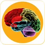 Brain Foods icon