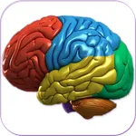 3D Human Brain + icon