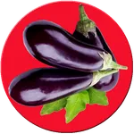 Baigan Ki Kheti icon