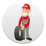 Alain Pneus icon