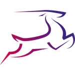Syntegro icon