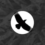 Raven's Rise (Last Tower 1): A icon