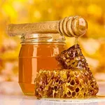 Benefits Of Honey icon